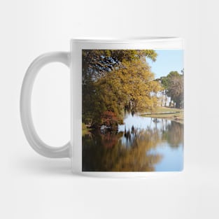 Tree Reflection Mug